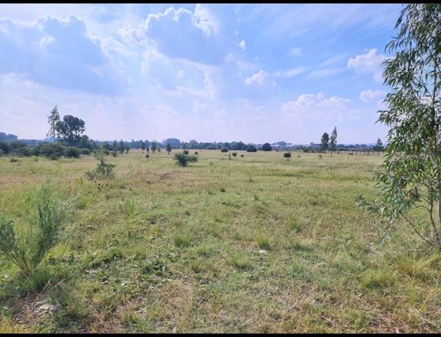 LAND FOR SALE IN RIVERSDALE